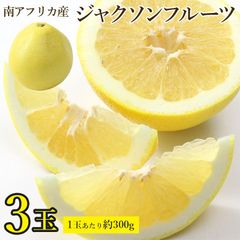 【8月上旬より順次ご発送予定】南アフリカ 産 ジャクソンフルーツ お試し 3 玉 約 1.8 kg マジックグレープフルーツ ジャクソン フルーツ 新感覚 グレープフルーツ 柑橘系 糖度12度 ご家庭用 ご自宅用 果物 くだもの フルーツ 敬老の日 ギフト