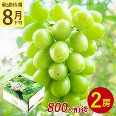 【8月下旬から9月中旬より順次発送】【 2房 800g 前後 シャインマスカット 】 送料無料 地域厳選 粒 ご家庭用 マスカット ぶどう ギフト お中元 暑中見舞い 訳あり 敬老の日 ギフト プレゼント