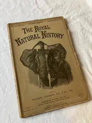 2025年最新】洋書 アンティークの人気アイテム - メルカリ