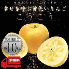 【希少品種】 青森県産 ＂ こうこう ＂ りんご【ご家庭用B品10kg】【送料無料】【産地直送】リンゴ 林檎