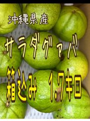 沖縄産　摘果マンゴー　10キロ 沖縄県産 摘果マンゴー 青マンゴー グリーンマンゴー10kg - メルカリ