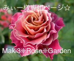 みぃー様専用ページ☆