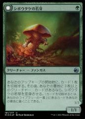 MTG《スパイクの飼育係/Spike Feeder》日本版 1枚 - メルカリ