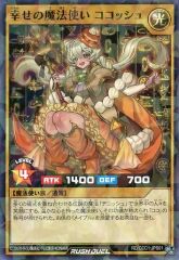 遊戯王ラッシュデュエル 幸せの魔法使い ココッシュ 遊戯王×ココス