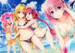 To LOVEる-とらぶる-15周年記念原画展 キャンバスアート　B　モモ キャンバスアート B モモ | Goo Goo Dept.