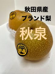 秋田県産　ブランド梨　秋泉　５キロ7玉