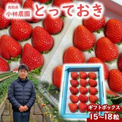 ☆2月下旬より収穫次第購入順に発送☆とっておき苺いちごギフトセット小林農園 わかば農法イチゴ 送料無料 鳥取県産 鳥取県新ブランド苺 贈り物 ホワイトデー雛祭り[冷蔵便]totteokiのサムネイル