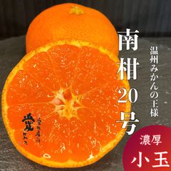愛媛産　味濃い玉津みかん　南柑20号　濃厚な小玉　家庭用5kg