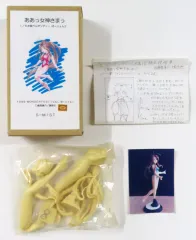 【中古】フィギュア ベルダンディー(水着) II 「ああっ女神さまっ」 1/6 ガレージキット