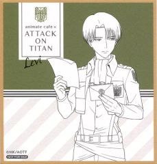 [Used] Character Card Levi Ackerman Colored paper style card Attack Titan The Final Season x animatecafe: Food & Purchase Benefits