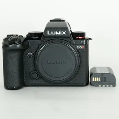 2025年最新】lumix s5iiの人気アイテム - メルカリ