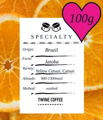 自家焙煎スペシャルティコーヒー　ブラジル　10杯分【100g】豆or粉