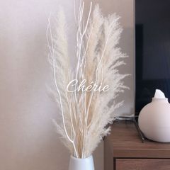 60【White Set♡】特大パンパスグラス&ミツマタセット　ドライフラワー　白