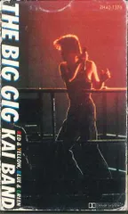 甲斐バンド　THE BIG GIG AGAIN　DVD CD　甲斐よしひろ 81VYj6EjarL._AC_UL210_SR210,