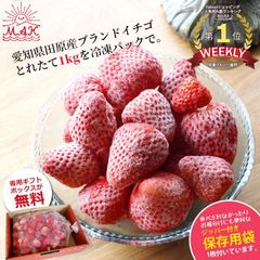 愛知県産冷凍いちご 1kg 保存に便利な保冷袋付き