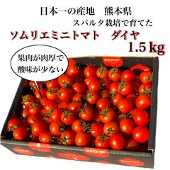 ソムリエミニトマト　ダイヤ　１.５ｋｇ（７５玉〜１２０玉）