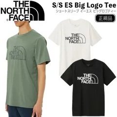 ザ ノースフェイス THE NORTH FACE ショートスリーブ イーエス アンペア ロゴティーシャツ ショートスリーブ ES BIG LOGO Tシャツ