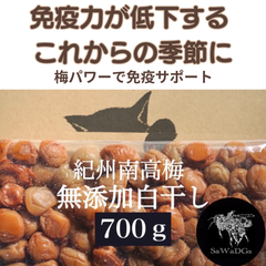 【〇】（発送は週明け12/15）紀州南高梅 無添加 白干し 塩分約19%【700ｇ】 梅干し 訳あり 梅  塩
