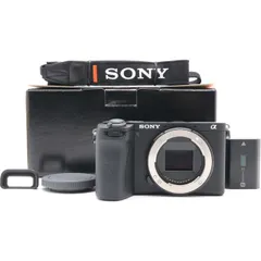 【即日発送・即購入歓迎】α6700ボディ 新品)SONY (ソニー) α6700 ボディ ILCE-6700（商品ID