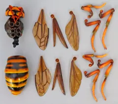 【中古】トレーディングフィギュア キイロスズメバチ 「いきもの大図鑑アドバンス スズメバチ02」