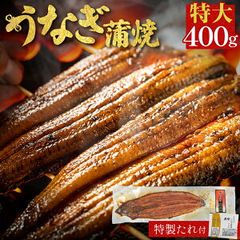 鰻蒲焼き 1尾 400g 有頭 土用の丑の日 中国産 うなぎ 海産物 お取り寄せグルメ ビール 誕生日 食べ物 海鮮 もらって 嬉しい ギフト グルメ