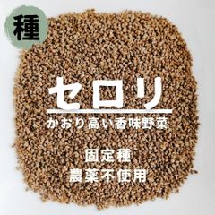 【種】セロリ　セルリー　農薬不使用　200粒