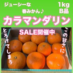 ジューシーな春みかん　カラマンダリン　B品　1kg　【和歌山県有田産】【農家直送】