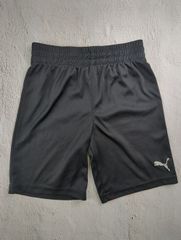 Item thumbnail for item ce67c9f4-1b36-4f10-a984-27235ff8ba6c