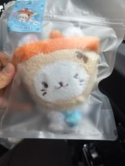 NCT(エヌシーティー) WIND AND WISH ウィシドル バブルキャット ミルクシティ 人形 ぬいぐるみ ぬいのサムネイル