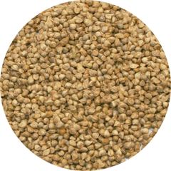 Item thumbnail for item c10f0b7d-a1e4-4846-8be8-7859c89aae05