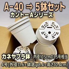 A-40白(カネヤ＊カントー)プラ鉢5鉢セット＊多肉植物・塊根植物コーデックス・アガベ・サボテン・盆栽・観葉・ハオルチア・アデニウム・パキポディウム・実生＠フラワーショップ江口※黒インク状の付着が有ったりします