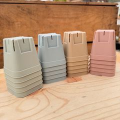 プレステラ75（2号鉢）４色　各10個セット 多肉植物（ゆうパック発送）