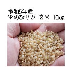新米🌾令和5年産 ゆめぴりか玄米10kg
