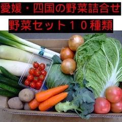 愛媛・四国の新鮮野菜セット　10種　100サイズ