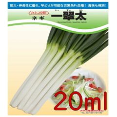 カネコ種苗　一翠太　葱　２０ｍｌ