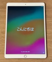 【バッテリー最大容量90%】iPad Pro 10.5インチ Wi-Fiモデル  64GB