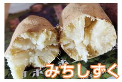 みちしずく  さつまいも 10キロ