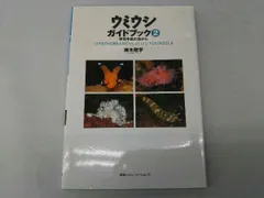 2025年最新】ウミウシ図鑑の人気アイテム - メルカリ