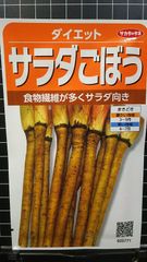 サラダ ごぼう ダイエット 牛蒡 種 ３袋セット