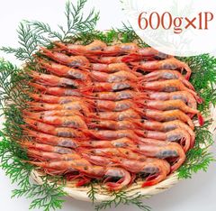大和甘海老 刺身用 国産(日本海) 600g 約30～45尾