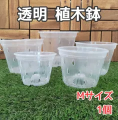 植木鉢 透明 プランター　Mサイ ズ　#140　1個　プラントポット　根腐れ防止 園芸 　観葉植物 熱帯植物 ガーデニング 寄せ植え　花 植物 発根 観察　モンステラ　ポトス　アンスリウム　アロカシア　パキラ　ガジュマル　ホヤ　アガベ　多肉植物等にのサムネイル