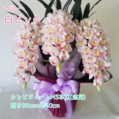 2025年最新】シンビジウム鉢の人気アイテム - メルカリ