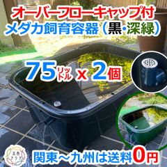 メダカ飼育ケース 56㍑x2個 白黒灰あり オーバーフロー 金魚飼育容器