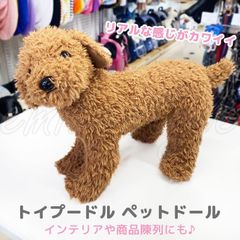 大人向け 音声認識 ぬいぐるみ 【 おしゃべりトイプードル] - メルカリ