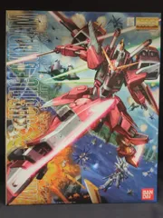 2025年最新】MG 1/100 インフィニットジャスティスガンダム