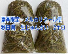【クール便】夏季限定　秋田県　生じゅんさい   2キロ