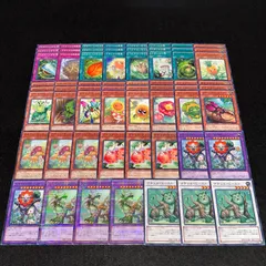 No.16758 遊戯王 ナチュル デッキパーツ デュエルターミナル多数 2026年最新】遊戯王 ナチュルデッキの人気アイテム - メルカリ
