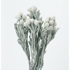 Item thumbnail for item 81895e94-1cb1-425f-a07e-19107746e22e