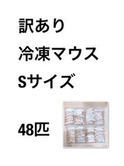 訳あり冷凍マウス※※アダルトｻｲｽﾞ※※