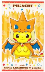 ポケモン 名刺カード 1弾 メガリザードンYのポンチョを着たピカチュウ